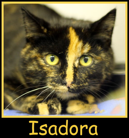 Isadora