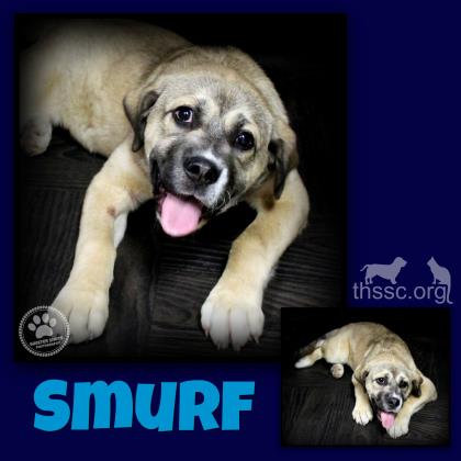 Smurf
