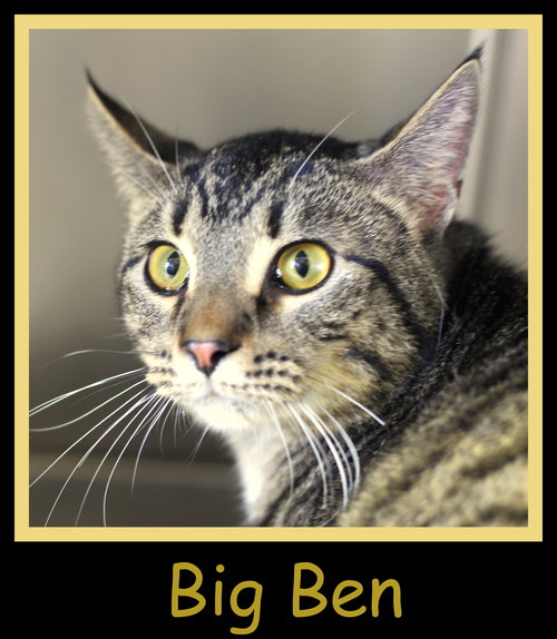 Big Ben