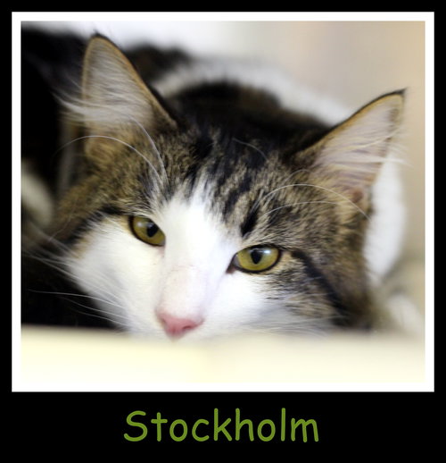 Stockholm
