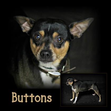 Buttons