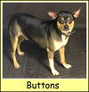 Buttons