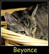 Beyonce