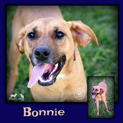Bonnie