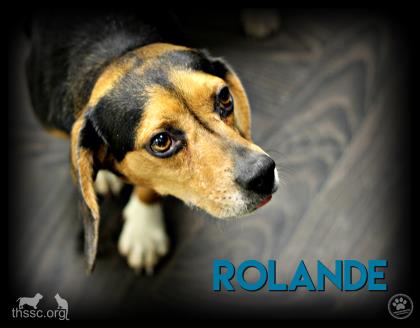 Rolande