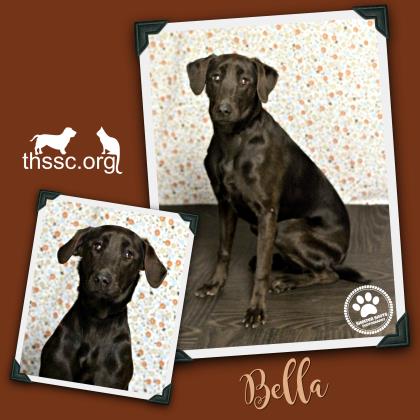 Bella