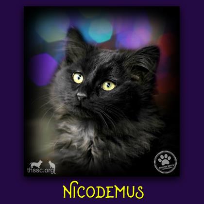 Nicodemus