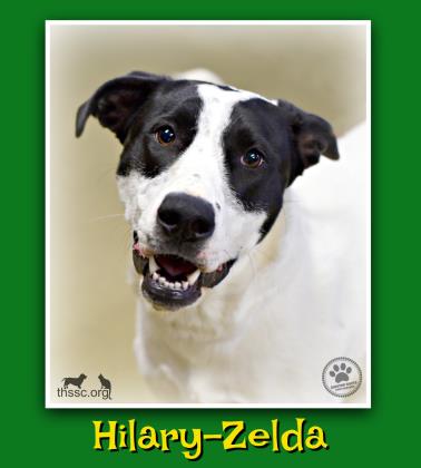 Hilary-Zelda