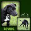 Lewis