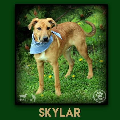 Skylar