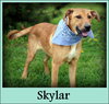Skylar