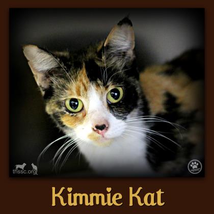 Kimmie Kat