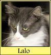 Lalo