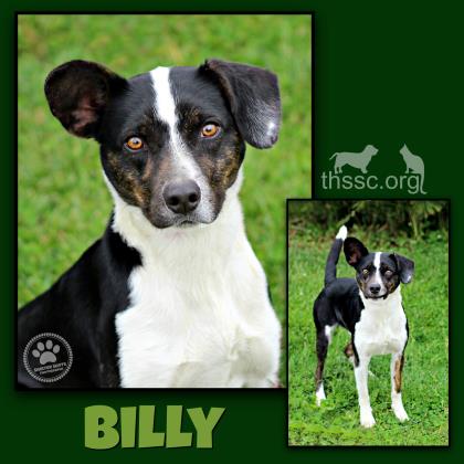 Billy