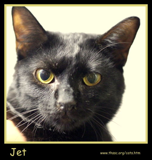 Jet
