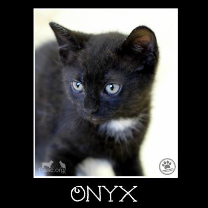 Onyx