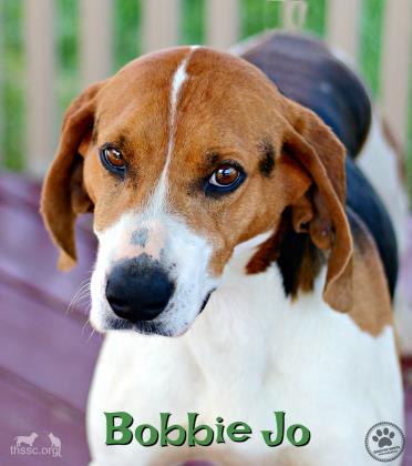 Bobbie Jo
