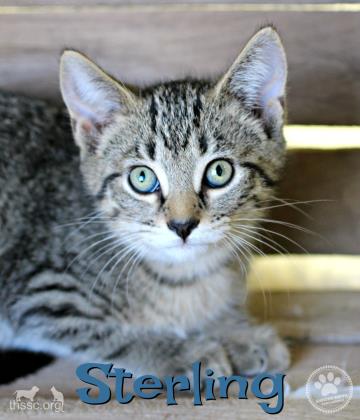 Sterling