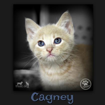 Cagney