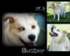 Buster