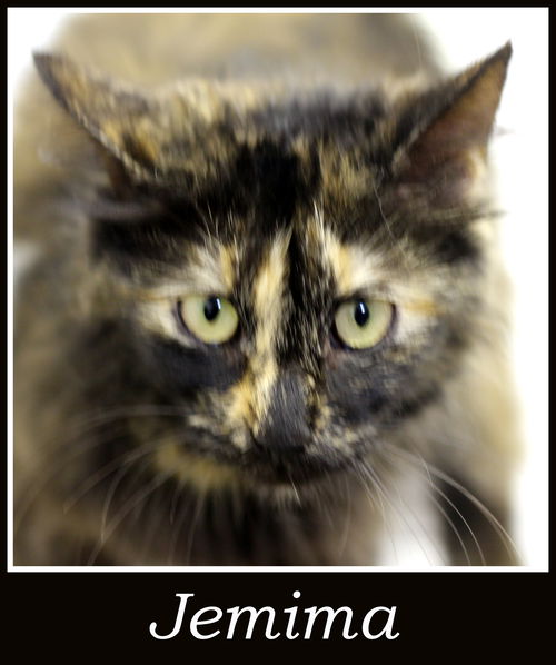 Jemima