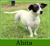 Abita