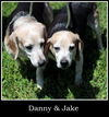 Danny