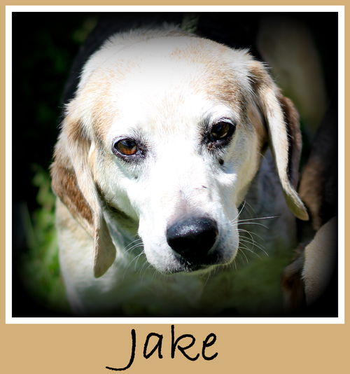 Jake