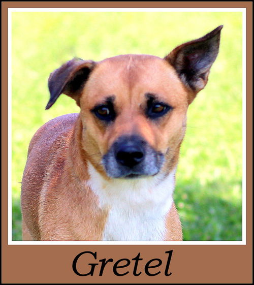 Gretel