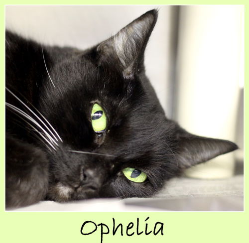 Ophelia