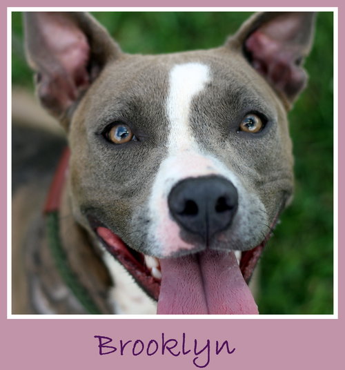 Brooklyn