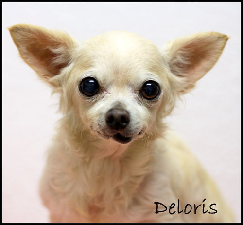 Deloris