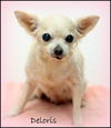Deloris