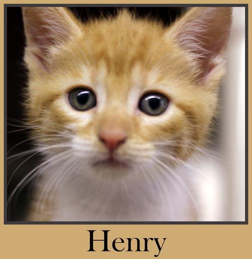 Henry