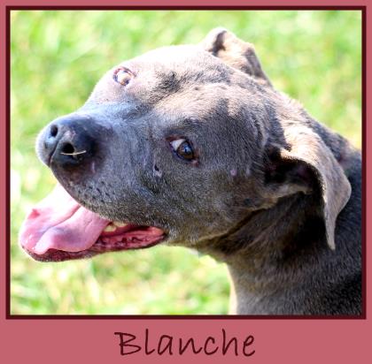 Blanche