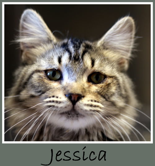 Jessica
