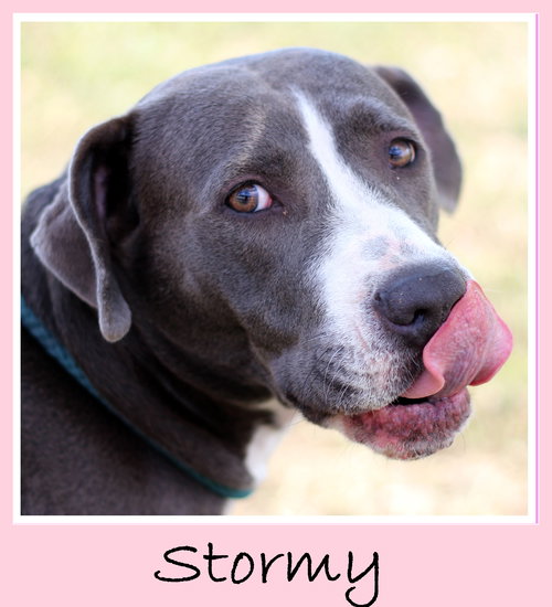 Stormy