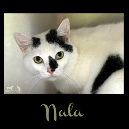 Nala