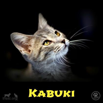 Kabuka