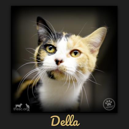 Della
