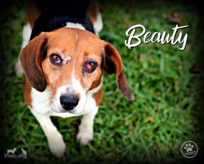 Beauty