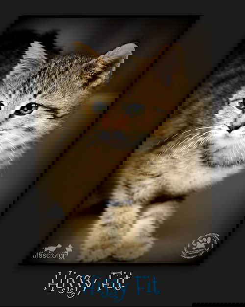 Hissy Fit