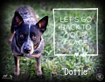 Dottie