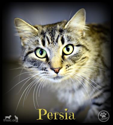 Persia