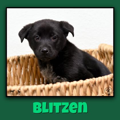 Blitzen