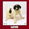 Leon