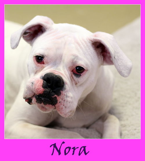 Nora