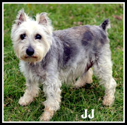 JJ