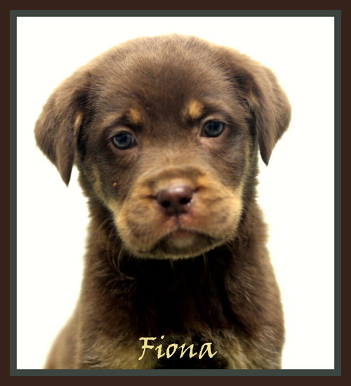 Fiona