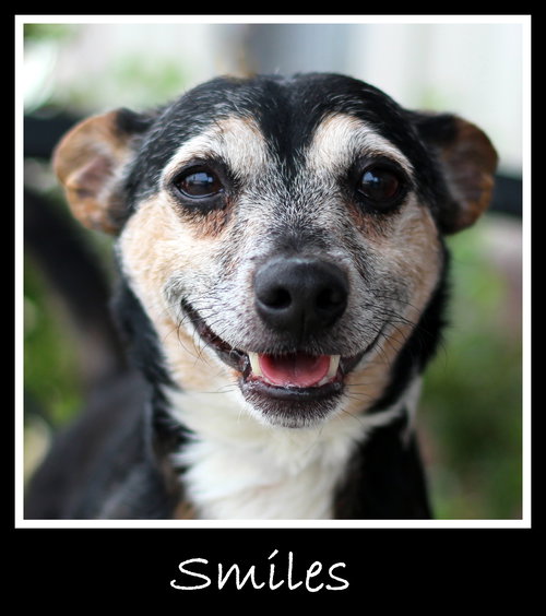 Smiles